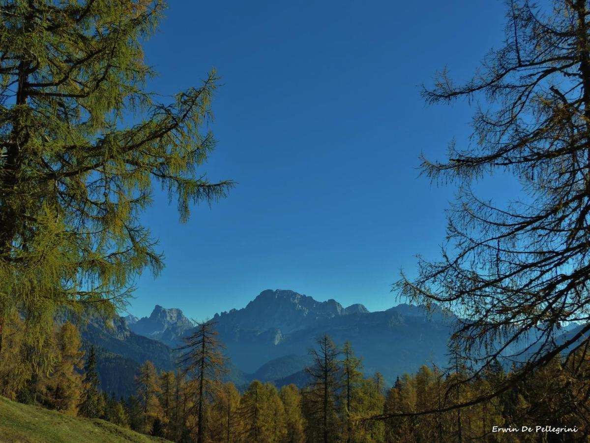Chalet Laura Alleghe Bagian luar foto